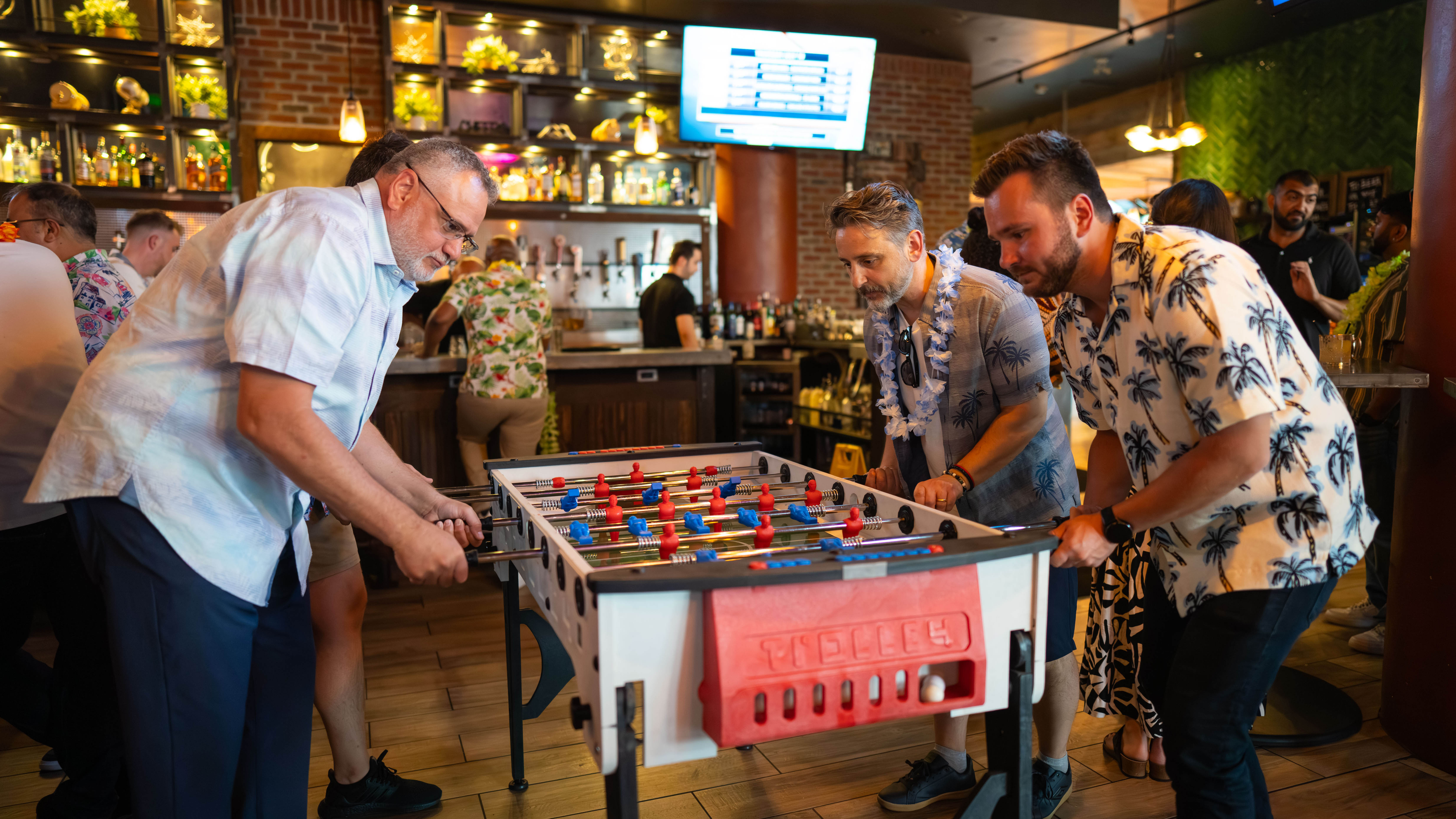 Hazelview Summer Party Hazelview Summer Party